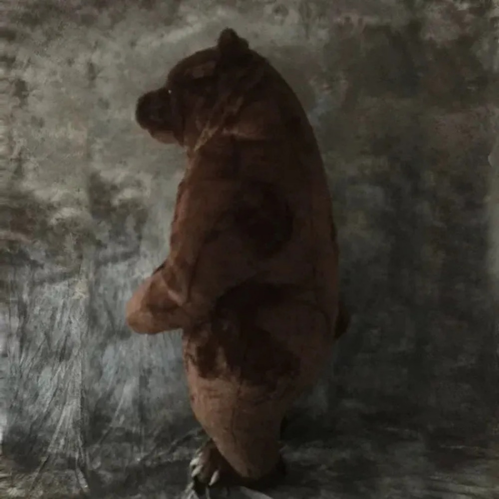 Inflatable Brown Bear Mascot C - Chargers recension och pris